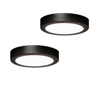 2er-Set LED-Aufbauleuchte MOONLIGHT