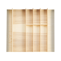 FineLine LiniQ Besteckeinsatz